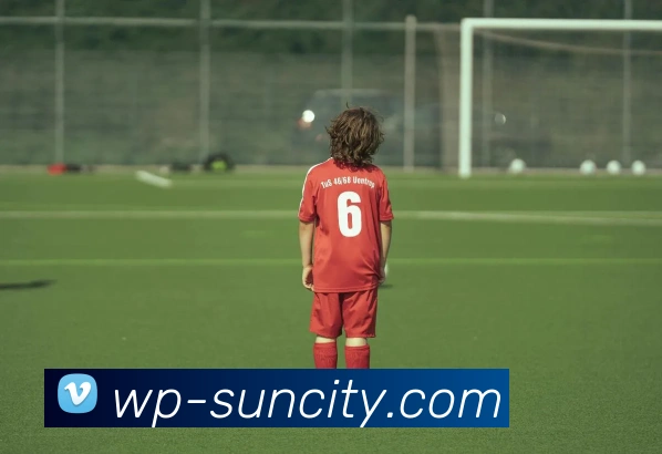 太阳城官网品牌故事